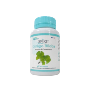 Spirit Ginkgo Biloba 90 Gelules