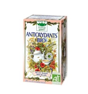 ROMON NATURE INFUSION ANTIOXYDANTS 20 SACHET