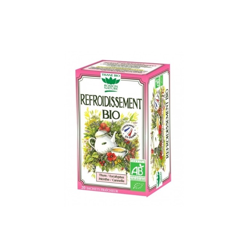 ROMON NATURE INFUSION REFROIDISSEMENT 20 SACHET