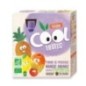 VITABIO COOL FRUITS POMME MANGUE ANANAS 4 X 90G