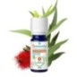 Puressentiel Huile Essentielle Eucalyptus Radié BIOPure 10ml