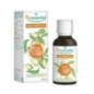 Puressentiel Huile Végétale BIO Amande Douce 50ml
