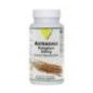 VITALL PLUS ASTRAGALE 500MG 60 GELULES