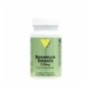 VITALL PLUS BOSWELLIA SERRATA 60 GELULES