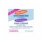 Palmer’s Anti-Dark Spot Fade Cream, for Oily Skin 75gr