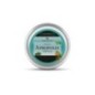 Pastiles Apropolis Eucalyptuls & miel 40g