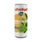 VOELKEL KOMBUCHA ORIGINAL CANETTE 250ML