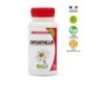 Mgd Nature Chrysanthellum 120 gelules