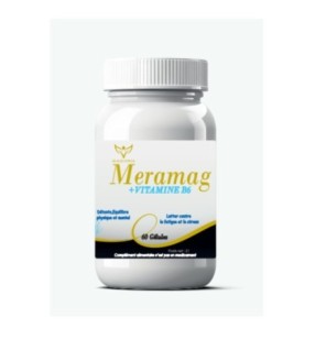 Health Power Meramag 60 Gelules