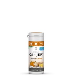 GINJER CHEWING-GUM GINGEMBRE MIEL 30 G