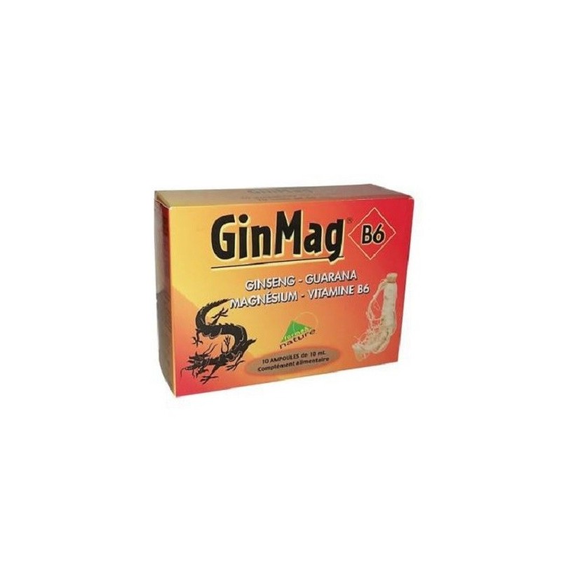 GINMAG B6 10 AMPOULES