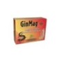 GINMAG B6 10 AMPOULES
