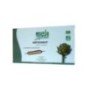 GPH Artichaut 20 Ampoules*15ml