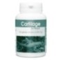 Gph Diffusion Cartilage de Requin – 100 Gélules