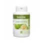 GPH Diffusion Garcinia 100 Gelules