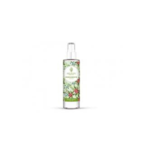 Green Botanic Brume Parfums Bergamote 200ml