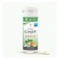 GINJER CHEWING-GUM GINGEMBRE MENTHE 30 G