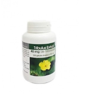 GPH DIFFUSION TRIBULUS EXTRAIT 100 GELULES