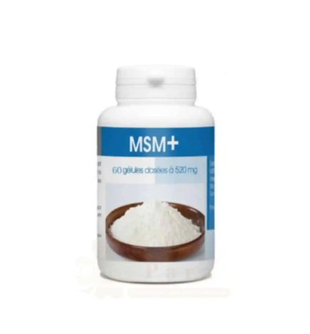 GPH MSM+ 520mg 60gelules