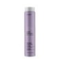 Erayba Abh Silver Shampooing No Yellow 250ml