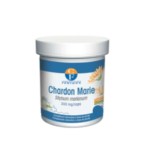 Fenioux Chardon Marie 300mg 90 Gelules