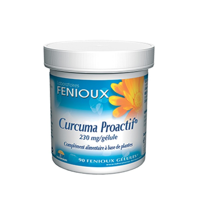 Fenioux Curcuma Proactif – 90 Gélules – 230 mg