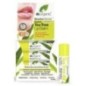 Dr Organic Baume à Lèvres Tea Tree 5.7Ml