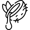 Huiles végétales